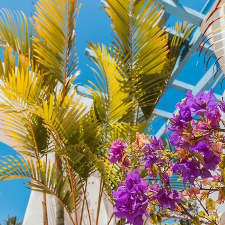 Szálloda Alua Fuerteventura 4*