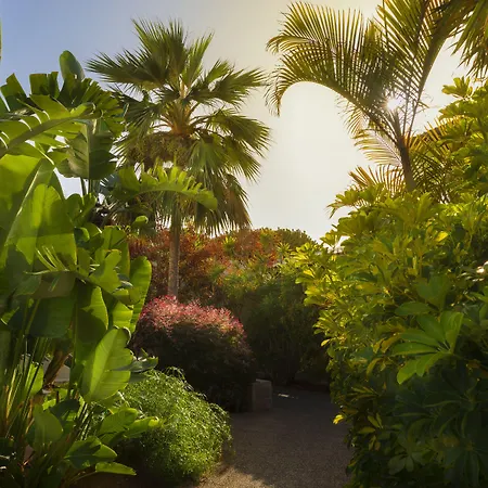 Alua Fuerteventura Коральео