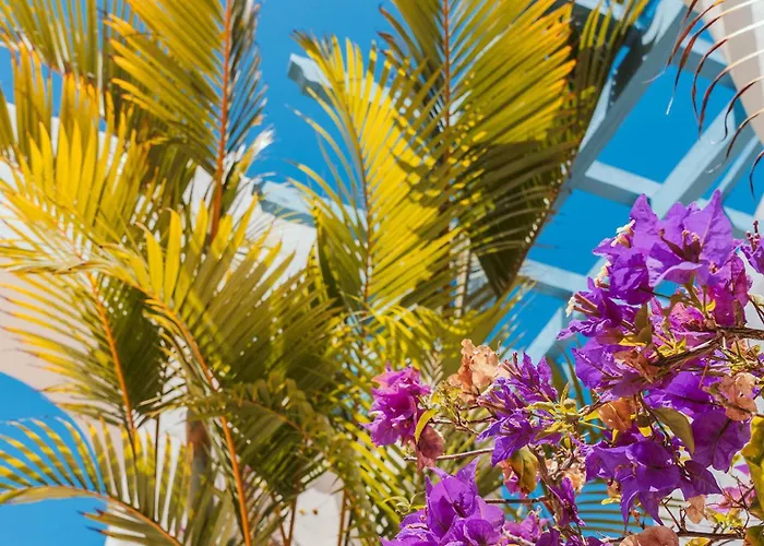 Szálloda Alua Fuerteventura 4*