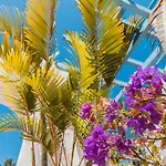 Ξενοδοχείο Alua Fuerteventura 4*